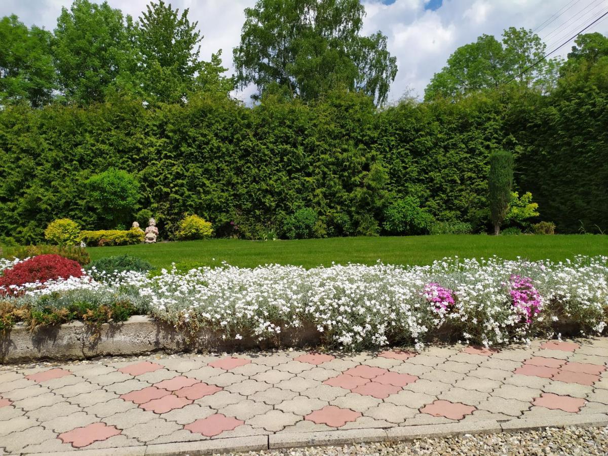 Apartmany Okoun Velke Losiny Bagian luar foto